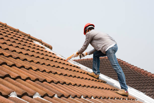 Best Asphalt Shingle Roofing  in Alburtis, PA